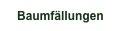 Baumfällungen